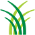 Websteks